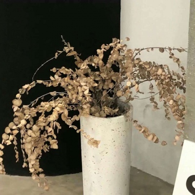 Furry数字绘画入门指南福瑞交流群